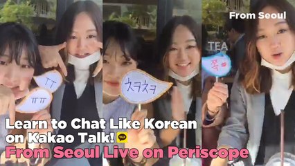 'Learn to Chat Like Korean on Kakao Talk' Summary Video