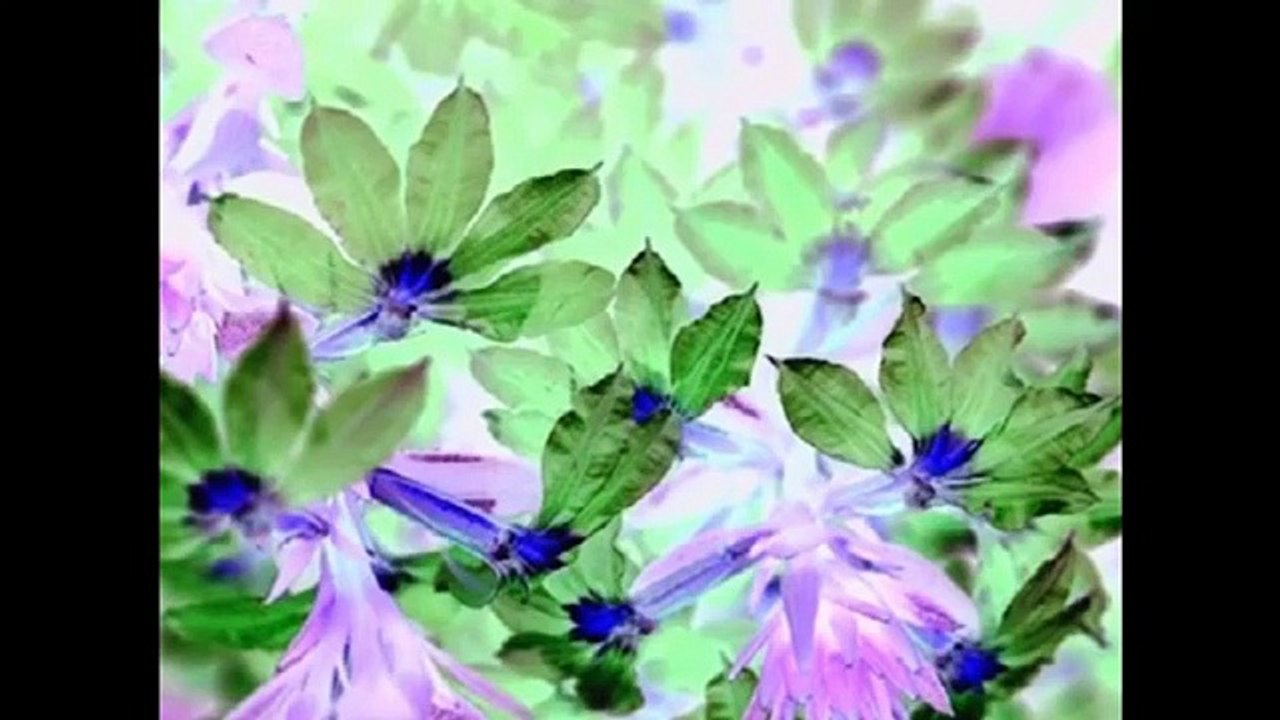 Language Nursery in G Major [Part 1]