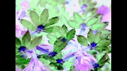 Language Nursery in G Major [Part 1]