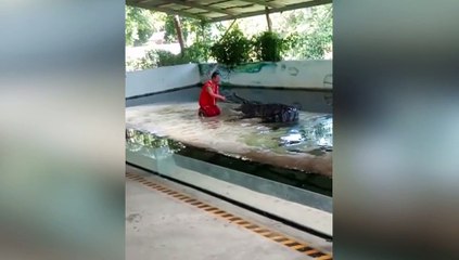 no metas  la cabeza en la boca de un cocodrilo