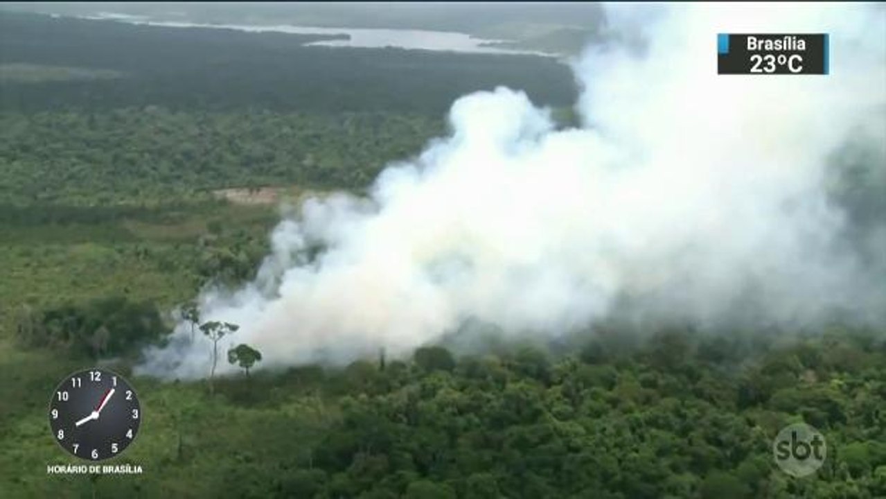 Amazônia tem 300 Km quadrados desmatados em apenas três meses