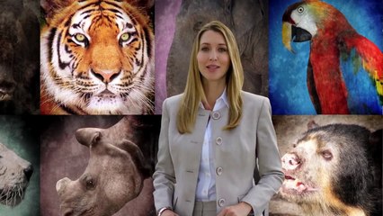 Zoombies (2016) - Movie Review