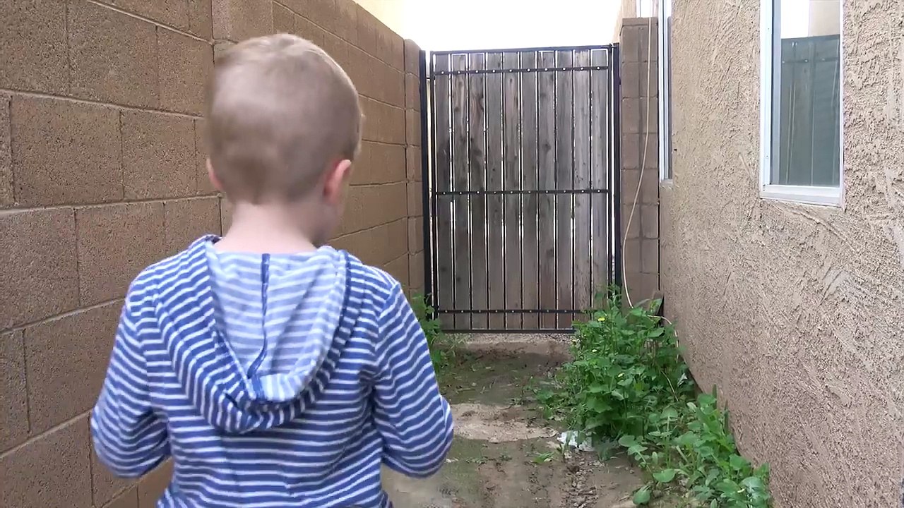 Nerf Blaster Battle! Deadly Rattlesnake Toy Attacks! Ethan Vs. Cole Vs. Vicious Reptile Toy