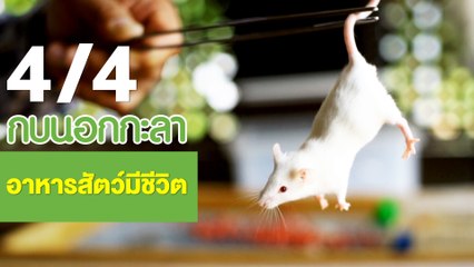 กบนอกกะลา : อาหารสัตว์ มีชีวิต ช่วงที่ 4/4 (1 มี.ค.61)