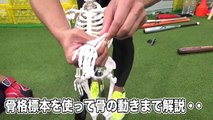 【新理論】ラミレス監督が実践した「ドリル打法」！なんと…骨で打つ！