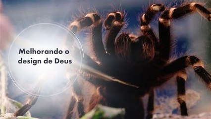 Cientistas italianos estão criando aranhas biônicas