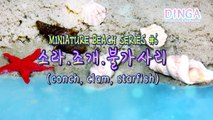 [해변시리즈 #6] 미니어쳐 소라, 조개, 불가사리 만들기 MINIATURE/Doll Beach #6 - conch, clam, starfish /딩가의 회전목마