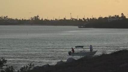 Fallecen cuatro españolas en un accidente de tráfico en los Cayos de Florida