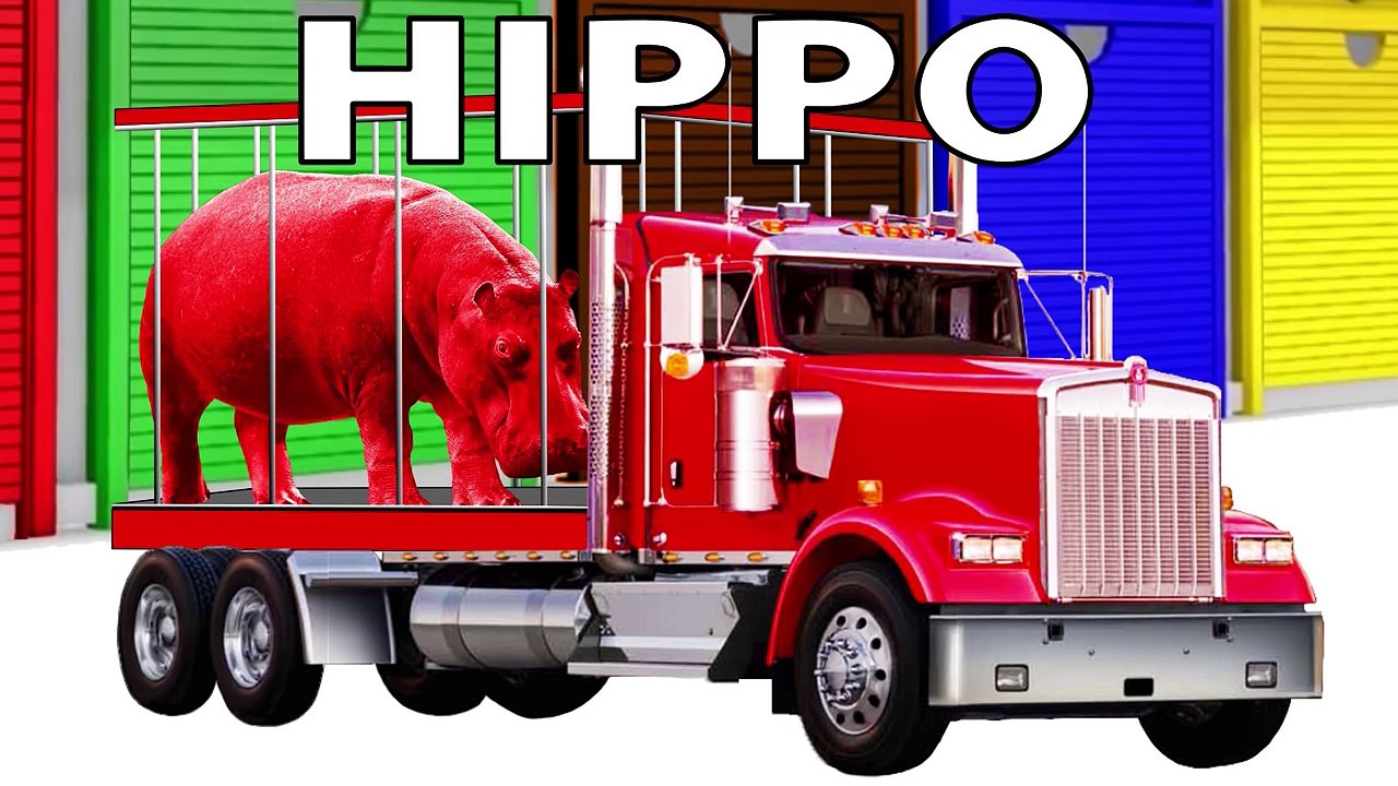 NEW COLORS! Learn Colors with Gorilla– Colors Animals for Children and Toddlers - Fun Learning Video