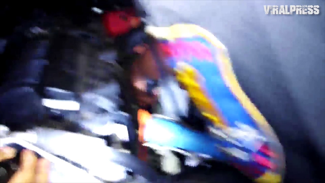 Python Caught Hiding In Car Bumper