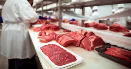 Ette Sıfır Gümrüklü İthalat Süresi 1 Haziran'a Uzatıldı