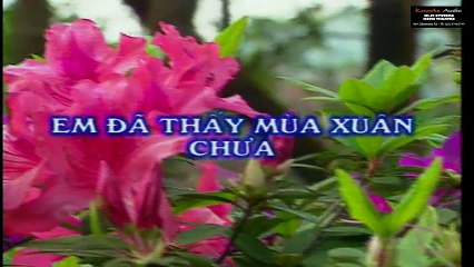 Em Đã Thấy Mùa Xuân Chưa