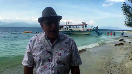 Apache MLM  Leads Discount Offer