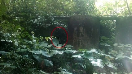 OMG!! Ghost Sighting Caught On CCTV Camera From A Classroom!!