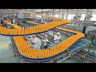 Amazing Machine Technology Processing Fruits, Vegetables And Flower
