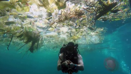 Océan de plastique à Bali