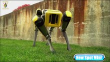Boston Dynamics : New Spot Mini Unleashed (Robot Evolution)