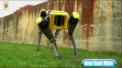 Boston Dynamics : New Spot Mini Unleashed (Robot Evolution)