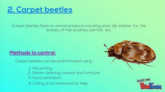 Different types of Pests and their Extermination