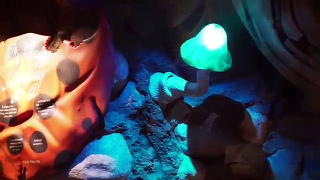 Its Tough to be a Bug (HD) Full Show - Disney World Animal Kingdom