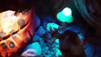 Its Tough to be a Bug (HD) Full Show - Disney World Animal Kingdom