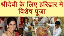 Sridevi: Boney Kapoor to conduct SHANTI PATH at Haridwar for Sridevi | FilmiBeat