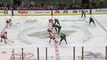 NHL - Carolina Hurricanes @ Minnesota Wild - 06.03.2018