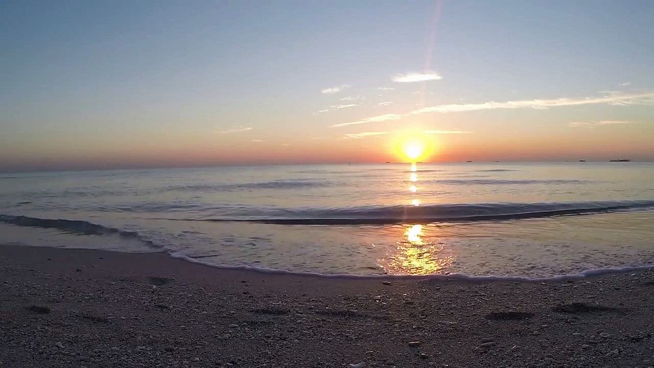 Anhaltspunkte für den wahren willen