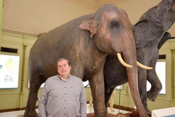 Le destin tragique de Miss Djeck