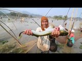 Indian villagers hold communal fishing event in Assam state