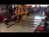 Lion magunatip dance wows the crowd in Sabah