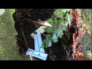 Gejala dadah di kawasan Felda di Selangor jadi 'rahsia terbuka'