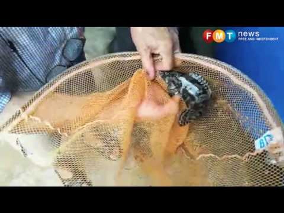 Youths urged to venture into indoor aquaculture