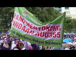 ‘Lautan ungu’ banjiri Padang Merbok