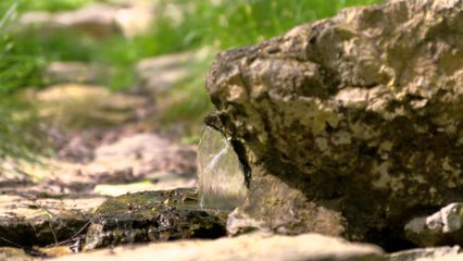 Xiaomi Launches Mi TV 4A Series in India With 32-Inch and 43-Inch Models