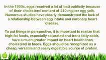 THIS IS WHAT HAPPENS TO YOUR BODY WHEN YOU EAT EGGS EVERYDAY - BENEFITS OF EGGS