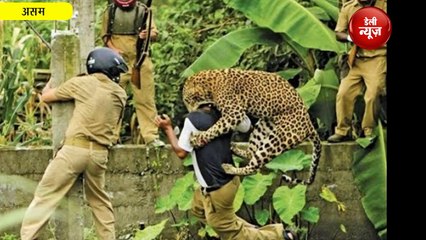 Assam में Police वाले को देख झपटा तेंदुआ, भीड़ ने ली जान, Viral VIDEO