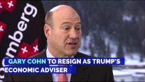 Gary Cohn to Resign as Trump's Economic Adviser