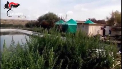 Ora News -   Zbulohet plantacioni më i madh i drogës në Itali
