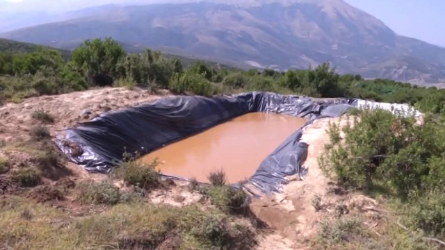 Ora News – Rama tregon hartën me kanabis në kohën e Berishës, reagon PD