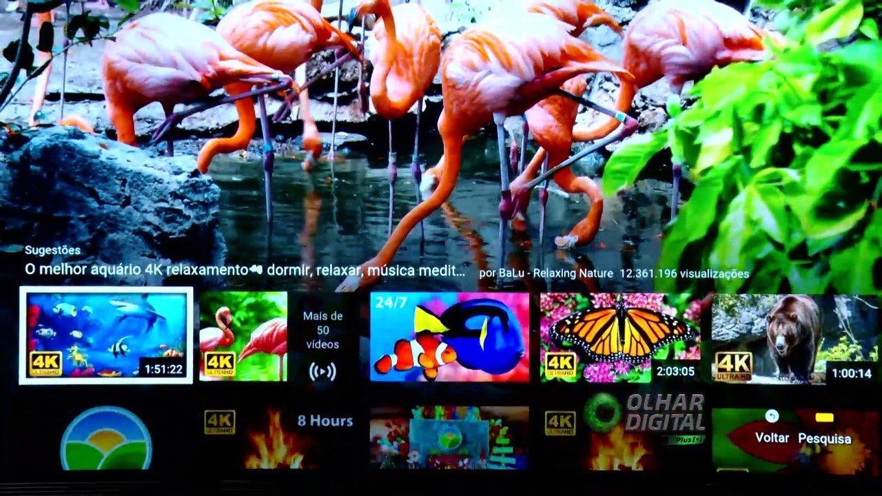 Saiba o que define a melhor TV 4K top de linha...