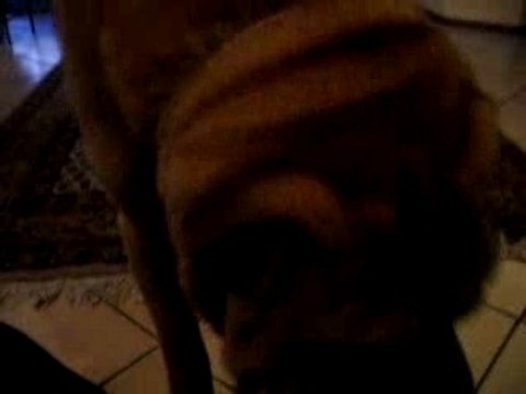 boub' et ses pansements