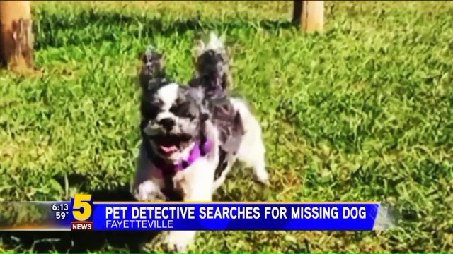 Woman Hires Pet Detective to Help Find Missing Dog