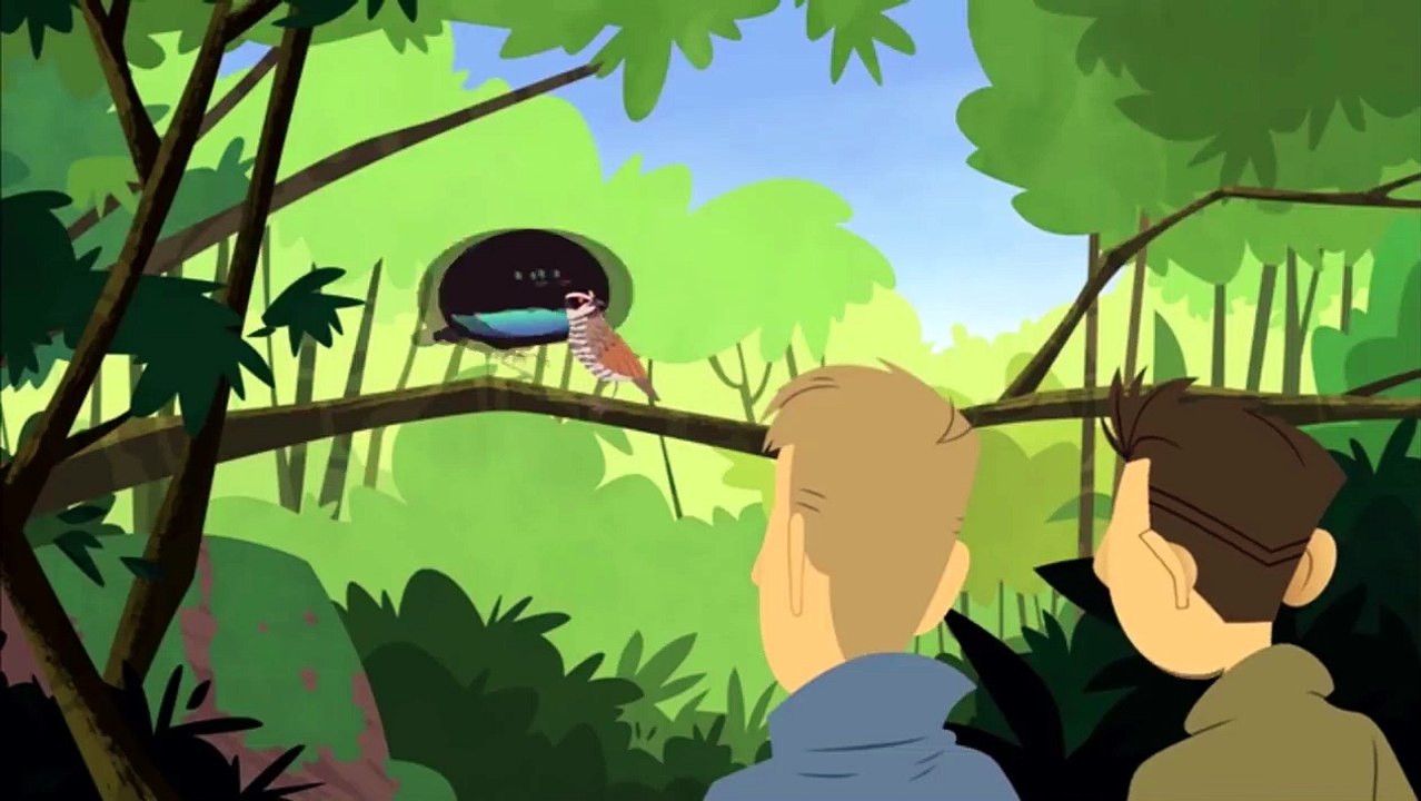 Wild Kratts - Feathered Friends