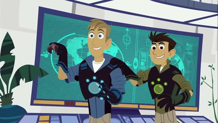 Wild Kratts - Follow That Bat