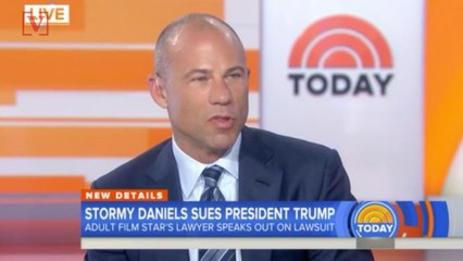 Stormy Daniels' Lawyer Says Porn Star And Trump Had a Sexual Relationship
