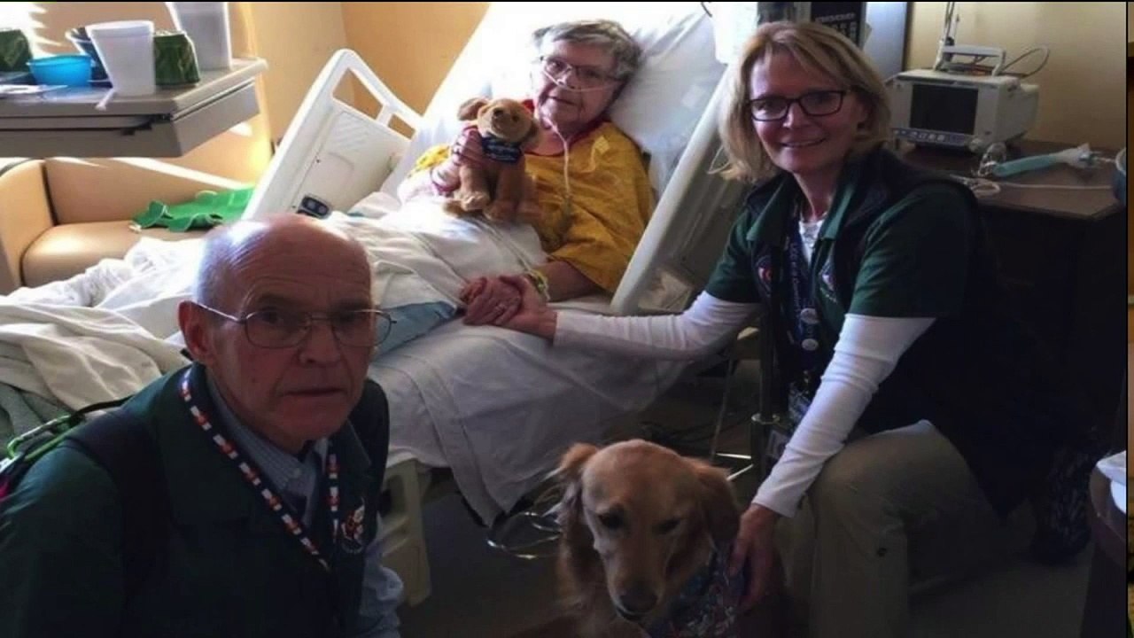 Comfort Dog Helps Florida School Shooting Survivors