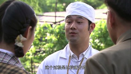 年代剧《人是铁饭是钢》13 主演 李梦男 冯远征 苗圃