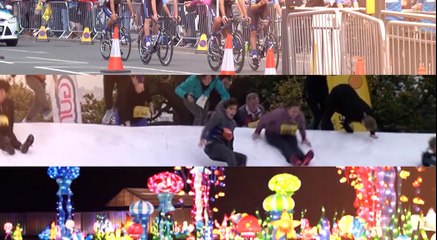 This Week's What's On Guide