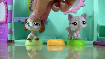 LPS: 10 Things I Hate About Doctors Offices